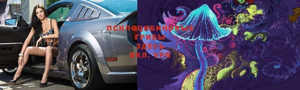 прущая мука Алзамай