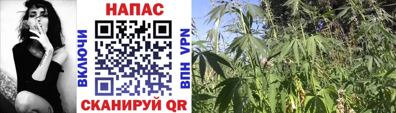 где можно купить   mega зеркало  Каннабис LSD WEED  Талдом 
